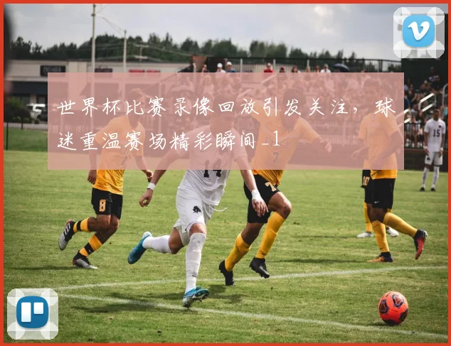 世界杯比赛录像回放引发关注，球迷重温赛场精彩瞬间_1