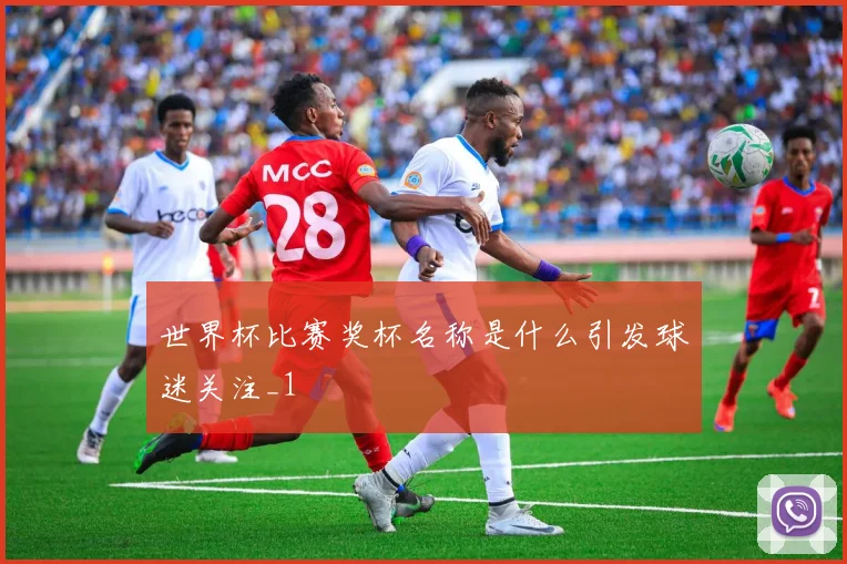 世界杯比赛奖杯名称是什么引发球迷关注_1