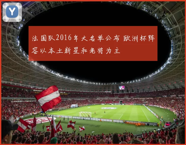 法国队2016年大名单公布 欧洲杯阵容以本土新星和老将为主