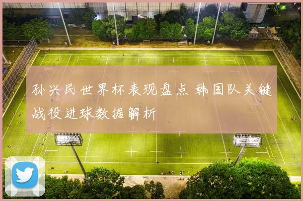 孙兴民世界杯表现盘点 韩国队关键战役进球数据解析